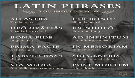 A Profile Of A Latin Beauty